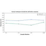 Linearity - Human Cathepsin B ELISA Kit (A351931) - Antibodies.com