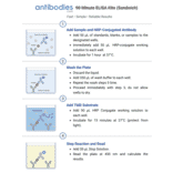 90 Minute Sandwich ELISA Workflow - Human C5a ELISA Kit (A351953) - Antibodies.com