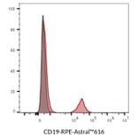 Flow cytometry - Anti-CD19 Antibody [SJ25C1] (PerCP) (A352031) - Antibodies.com
