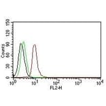 Flow cytometry - Anti-Cyclin D1 Antibody [DCS-6] (CF®568) (A352114) - Antibodies.com