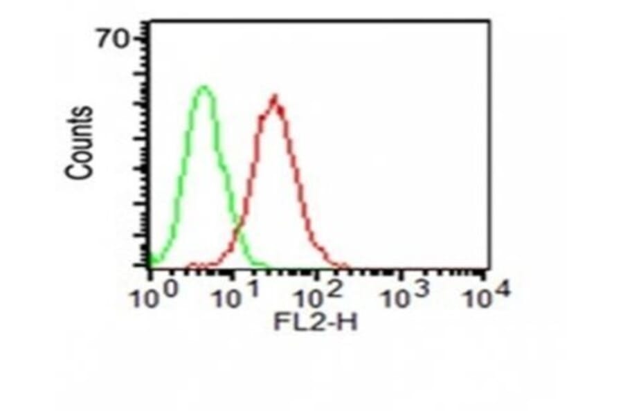 Flow cytometry - Anti-CD34 Antibody [ICO-115] (CF®740) (A352149) - Antibodies.com
