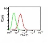 Flow cytometry - Anti-CD34 Antibody [ICO-115] (CF®740) (A352149) - Antibodies.com