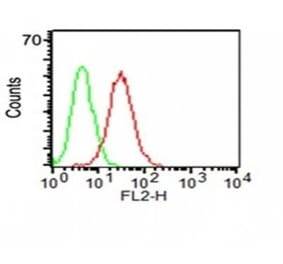Flow cytometry - Anti-CD34 Antibody [ICO-115] (CF®594) (A352151) - Antibodies.com
