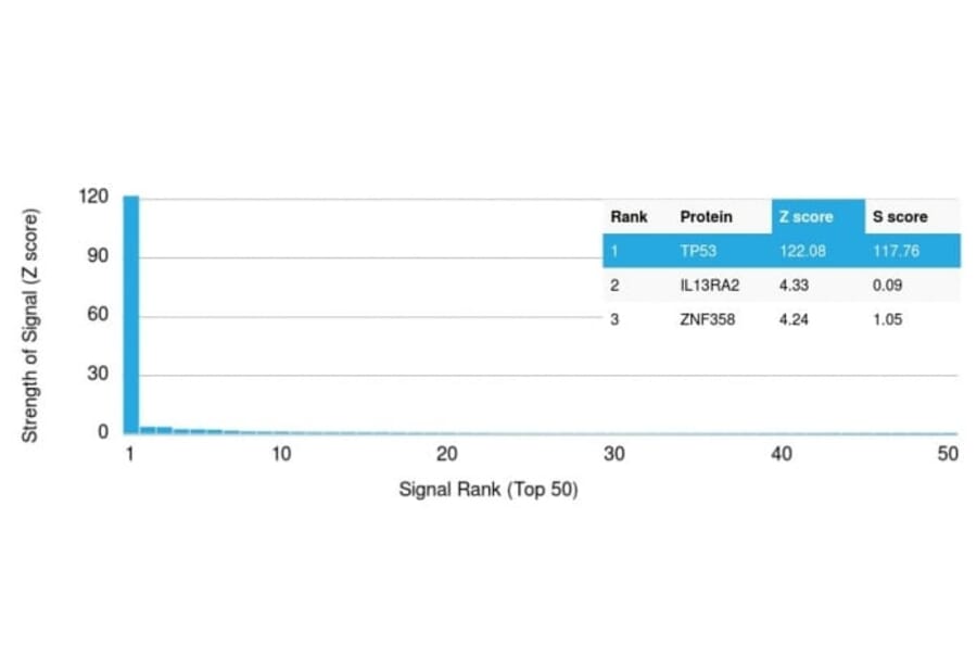 Protein Array - Anti-p53 Antibody [PAb122] (CF®488A) (A352399) - Antibodies.com
