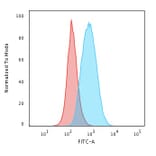 Flow cytometry - Anti-CD19 Antibody [CVID3/429] (CF®568) (A352495) - Antibodies.com