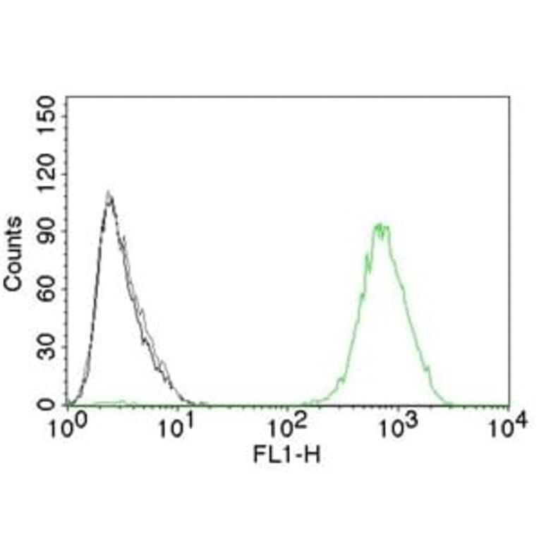 Flow cytometry - Anti-EGFR Antibody [GFR450] (CF®405S) (A352516) - Antibodies.com