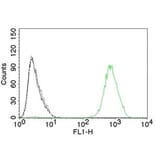 Flow cytometry - Anti-EGFR Antibody [GFR450] (CF®740) (A352520) - Antibodies.com