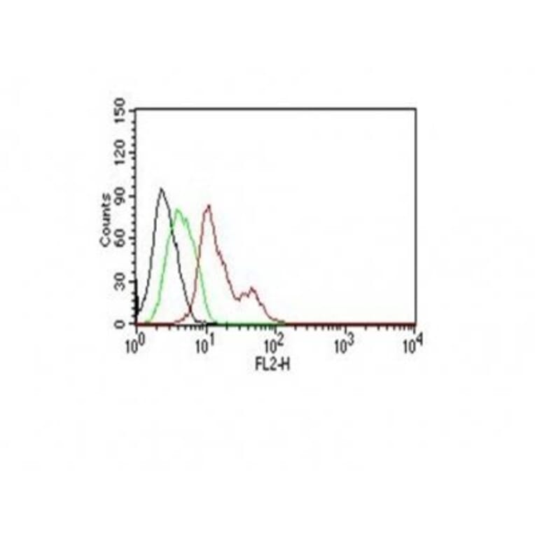 Flow cytometry - Anti-Estrogen Receptor alpha Antibody [ER506] (CF®740) (A352596) - Antibodies.com