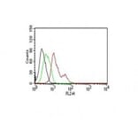 Flow cytometry - Anti-Estrogen Receptor alpha Antibody [ER506] (CF®488A) (A352597) - Antibodies.com