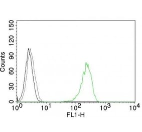 Flow cytometry - Anti-Transferrin Receptor Antibody [66IG10] (CF®647) (A352921) - Antibodies.com