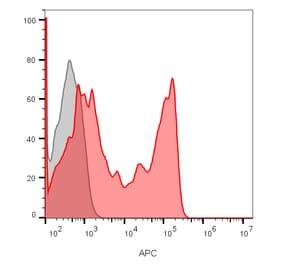 Flow cytometry - Anti-CD8 Antibody [C8/1035] (CF®640R) (A353052) - Antibodies.com