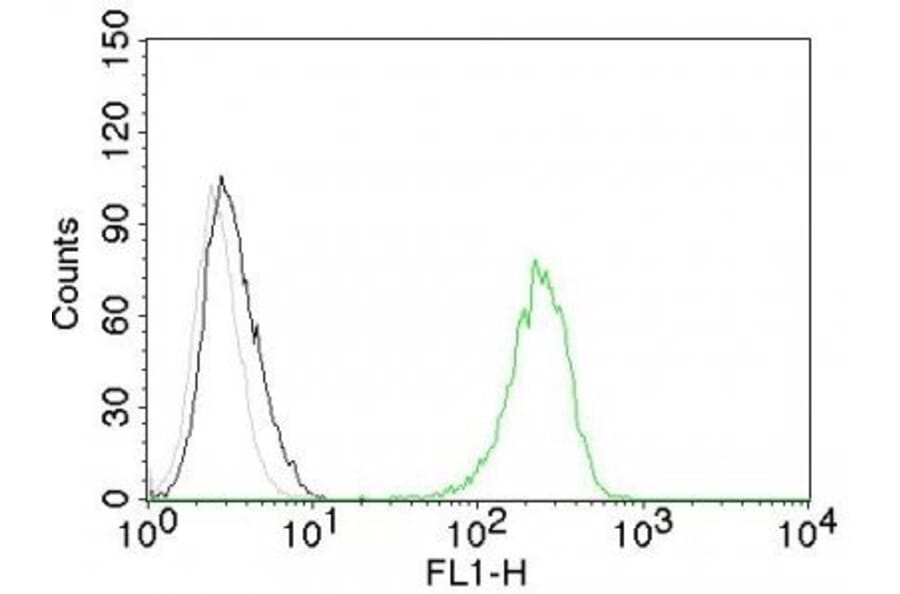 Flow cytometry - Anti-Transferrin Receptor Antibody [TFRC/1059] (CF®740) (A353090) - Antibodies.com