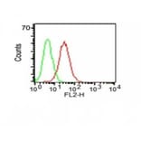 Flow cytometry - Anti-CD34 Antibody [HPCA1/1171] (CF®405S) (A353166) - Antibodies.com
