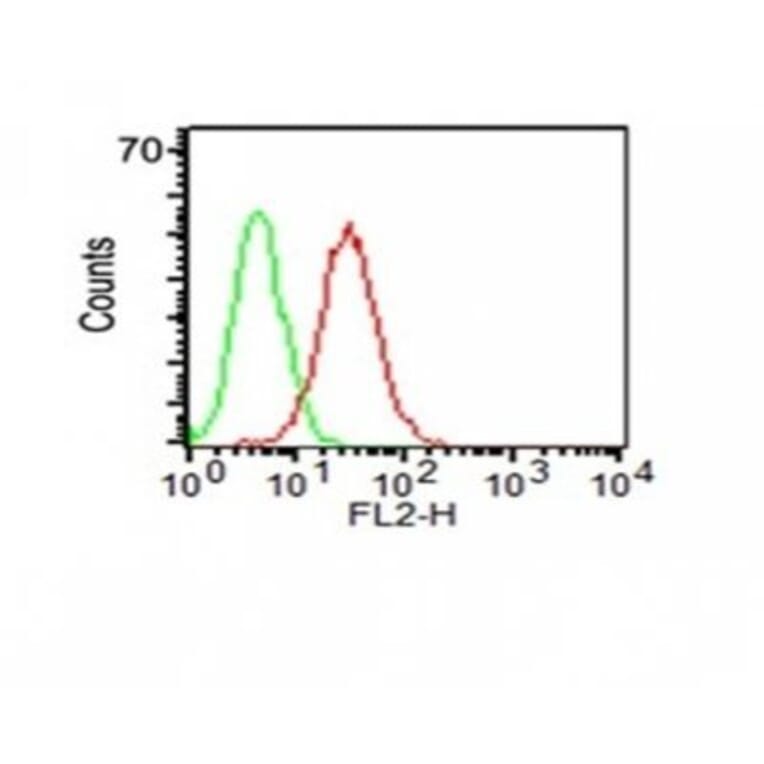 Flow cytometry - Anti-CD34 Antibody [HPCA1/1171] (CF®488A) (A353171) - Antibodies.com