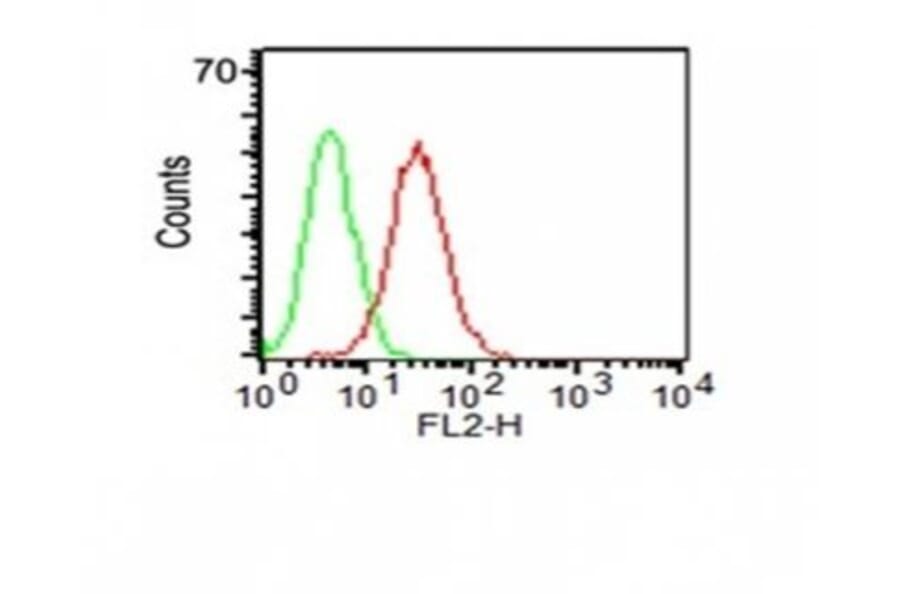Flow cytometry - Anti-CD34 Antibody [HPCA1/1171] (CF®594) (A353172) - Antibodies.com
