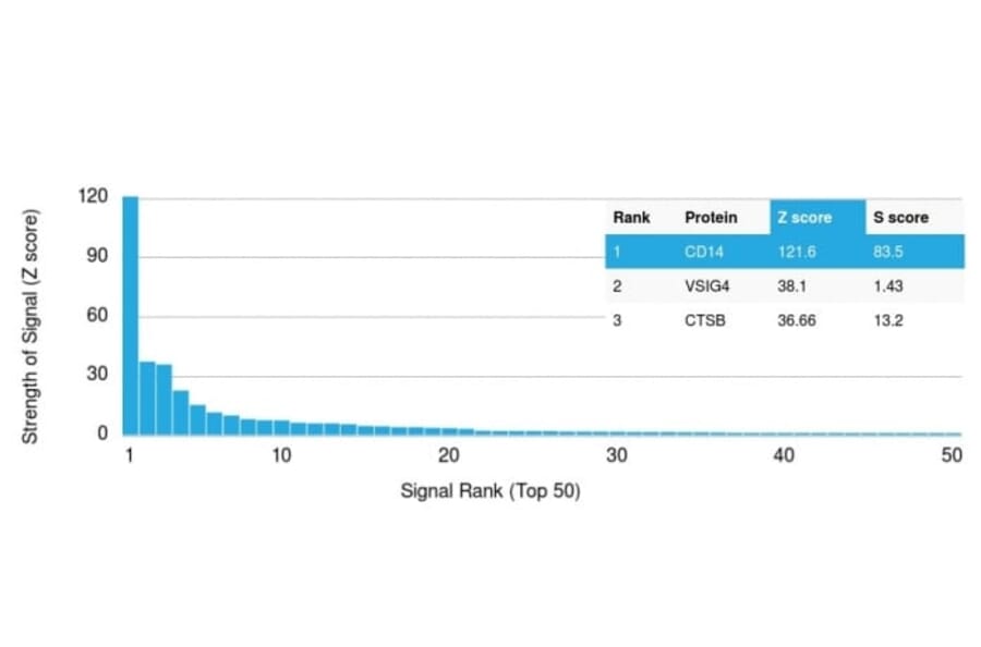 Protein Array - Anti-CD14 Antibody [LPSR/2385] (CF®405S) (A353909) - Antibodies.com