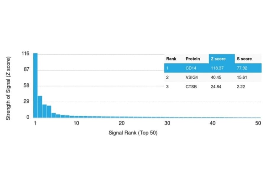 Protein Array - Anti-CD14 Antibody [LPSR/2386] (CF®405S) (A353917) - Antibodies.com