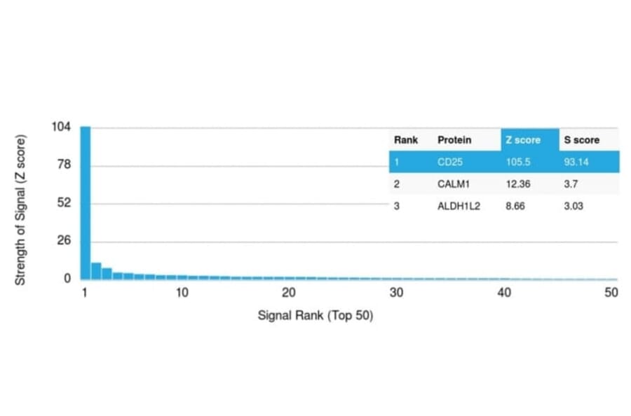 Protein Array - Anti-CD25 Antibody [IL2RA/2395] (CF®405S) (A353933) - Antibodies.com