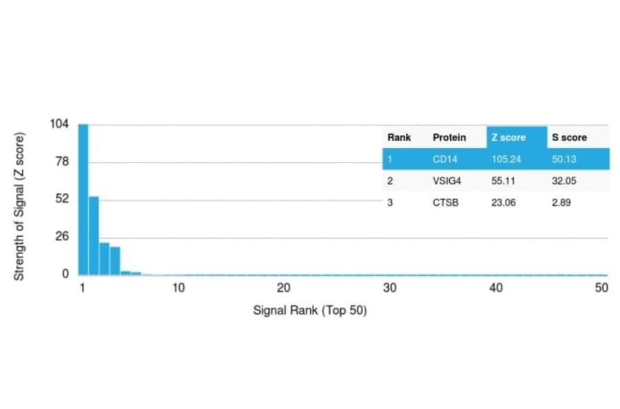Protein Array - Anti-CD14 Antibody [LPSR/2397] (CF®594) (A353947) - Antibodies.com
