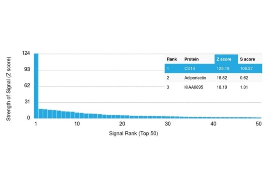 Protein Array - Anti-CD14 Antibody [LPSR/2408] (CF®594) (A353955) - Antibodies.com