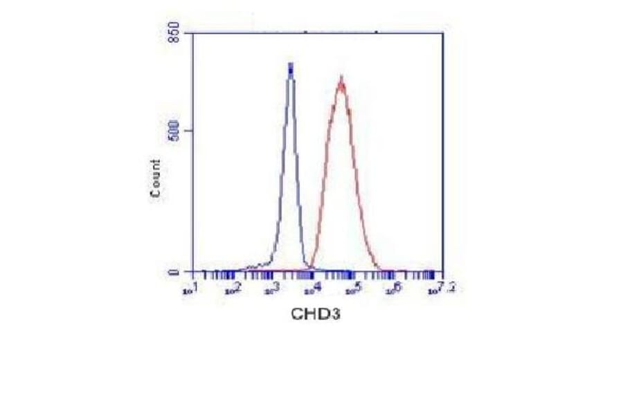CHD3 Monoclonal Antibody from Signalway Antibody (27035) - Antibodies.com