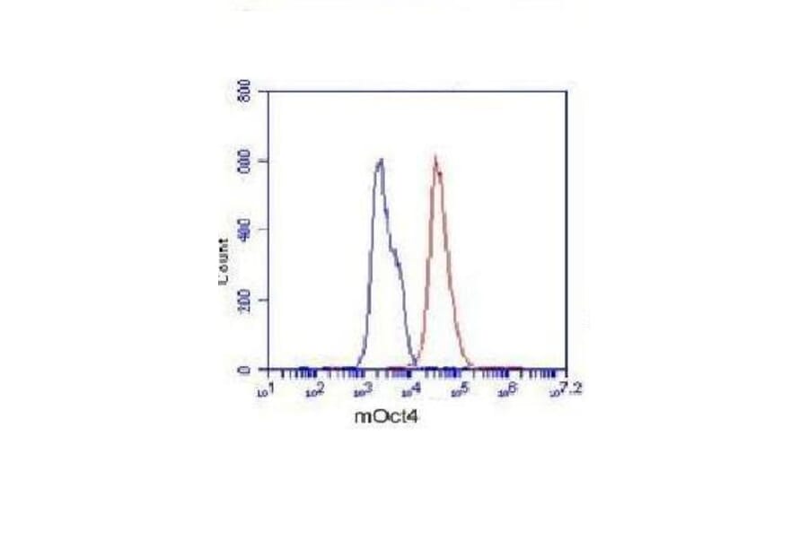POU5F1 Monoclonal Antibody from Signalway Antibody (27014) - Antibodies.com