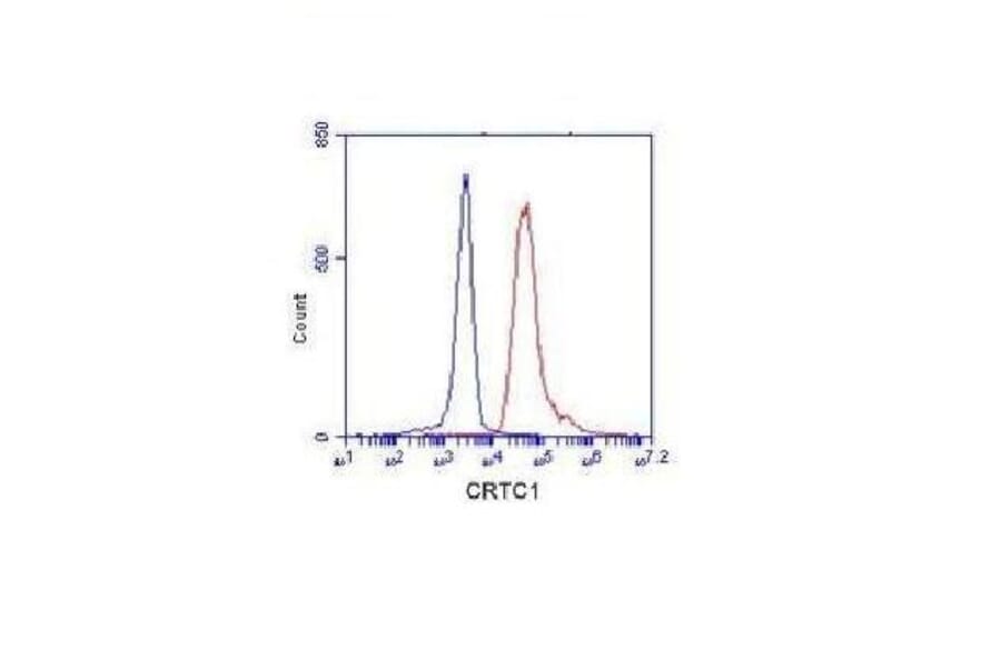 CRTC1 Monoclonal Antibody from Signalway Antibody (27071) - Antibodies.com