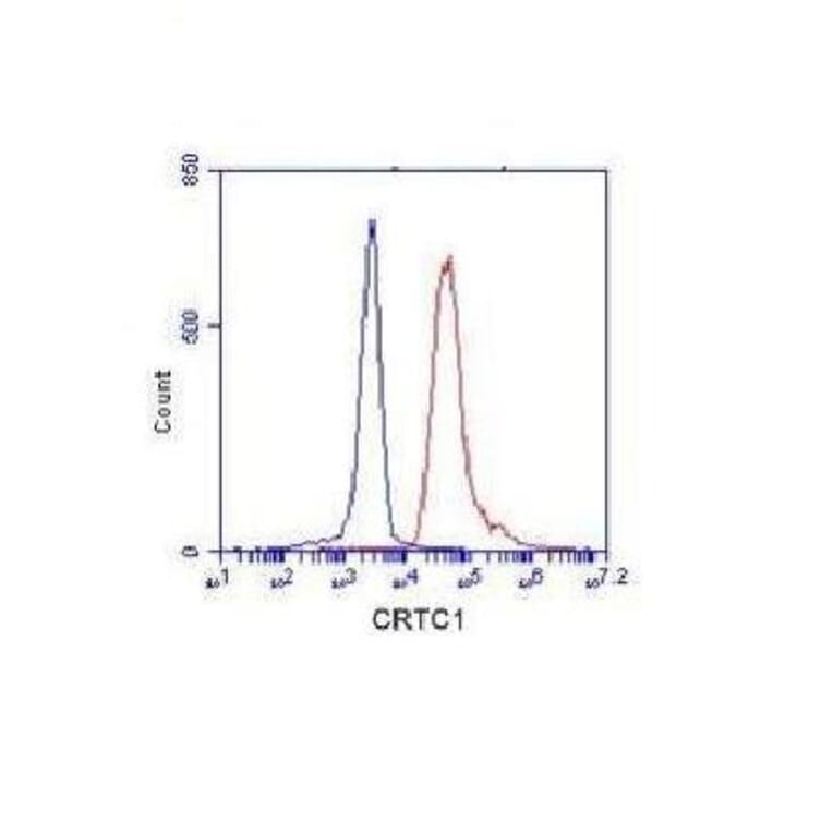 CRTC1 Monoclonal Antibody from Signalway Antibody (27071) - Antibodies.com