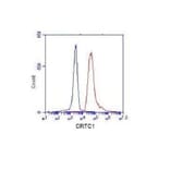 CRTC1 Monoclonal Antibody from Signalway Antibody (27071) - Antibodies.com