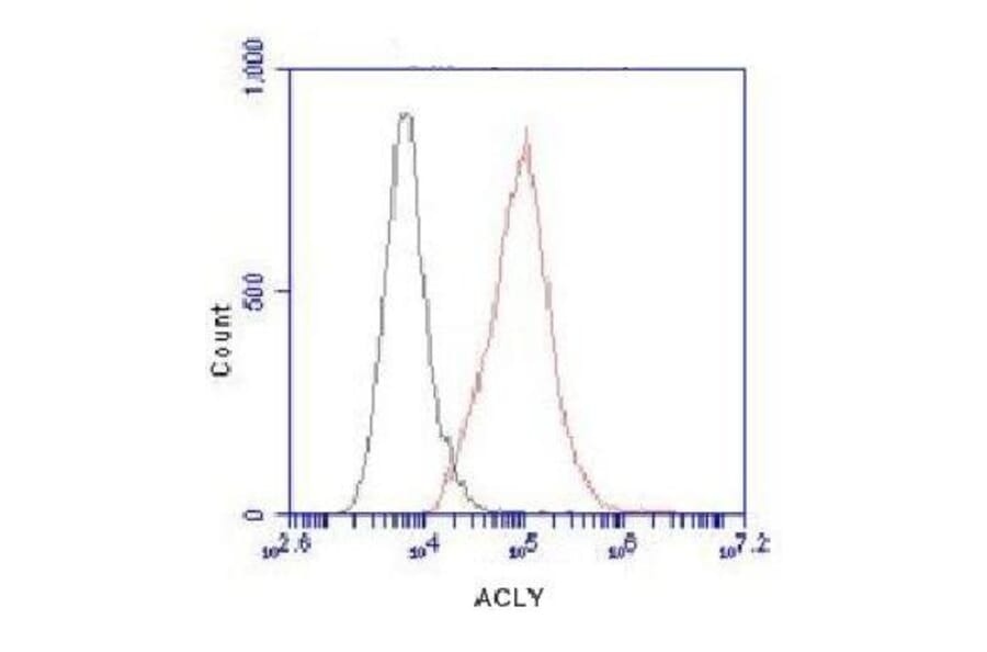 ATP-Citrate Lyase (C-term) Monoclonal Antibody from Signalway Antibody (27048) - Antibodies.com