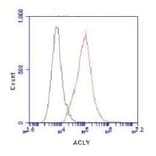 ATP-Citrate Lyase (C-term) Monoclonal Antibody from Signalway Antibody (27048) - Antibodies.com