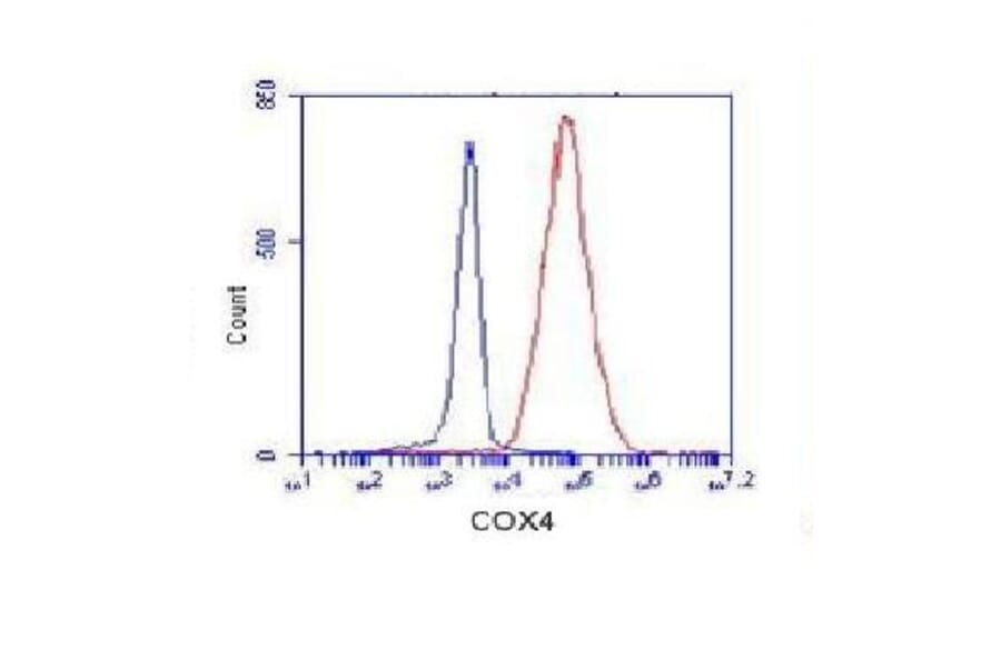 COX4 (isoform1) Monoclonal Antibody from Signalway Antibody (27080) - Antibodies.com