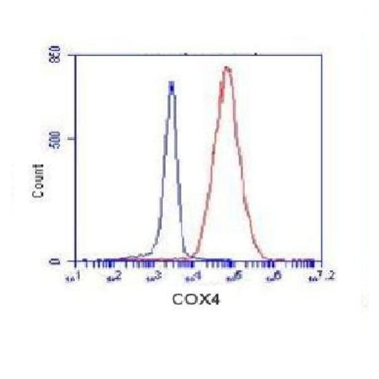 COX4 (isoform1) Monoclonal Antibody from Signalway Antibody (27080) - Antibodies.com