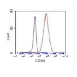 COX4 (isoform1) Monoclonal Antibody from Signalway Antibody (27080) - Antibodies.com
