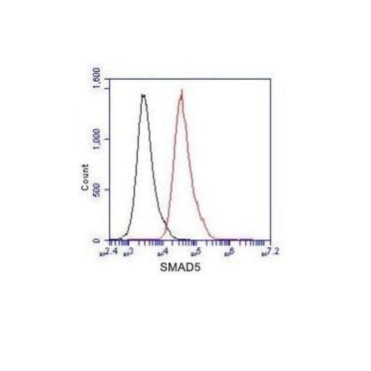SMAD5 (C-term) Monoclonal Antibody from Signalway Antibody (27047) - Antibodies.com
