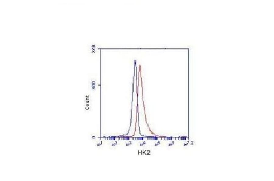 Hexokinase-2 ( N-term) Monoclonal Antibody from Signalway Antibody (27074) - Antibodies.com