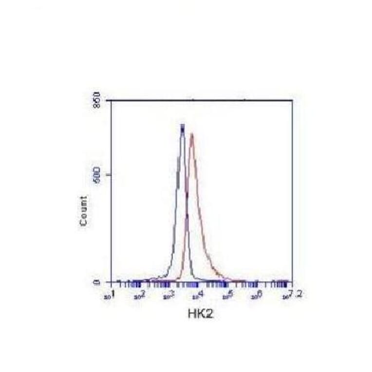 Hexokinase-2 ( N-term) Monoclonal Antibody from Signalway Antibody (27074) - Antibodies.com