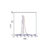 Hexokinase-2 ( N-term) Monoclonal Antibody from Signalway Antibody (27074) - Antibodies.com