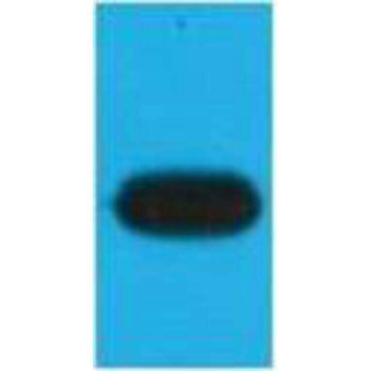 Western blot - mOrange Monoclonal Antibody from Signalway Antibody (40480) - Antibodies.com