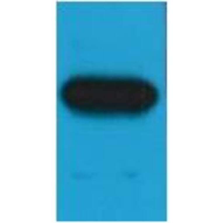 Western blot - c-Myc Mouse Monoclonal Antibody (3E8) from Signalway Antibody (37973) - Antibodies.com