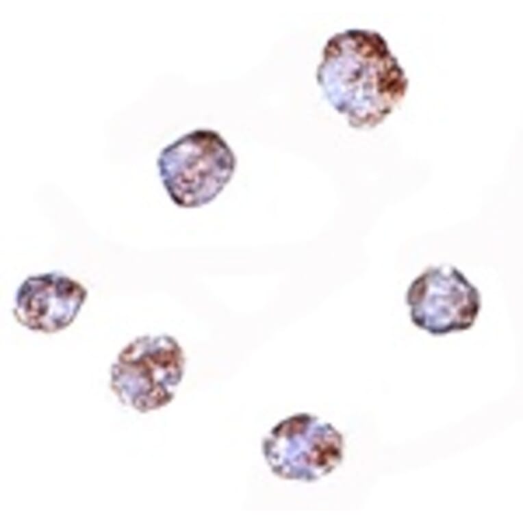 Immunocytochemistry - RGS21 Antibody from Signalway Antibody (24907) - Antibodies.com