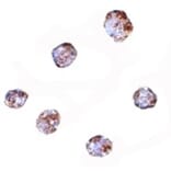 Immunocytochemistry - RGS21 Antibody from Signalway Antibody (24907) - Antibodies.com