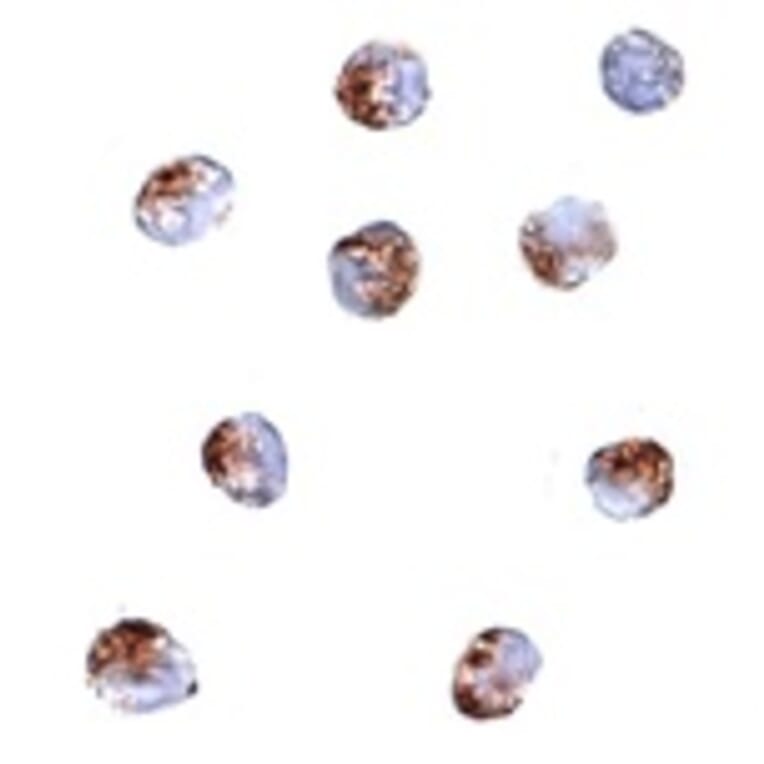 Immunocytochemistry - PDCD5 Antibody from Signalway Antibody (24834) - Antibodies.com