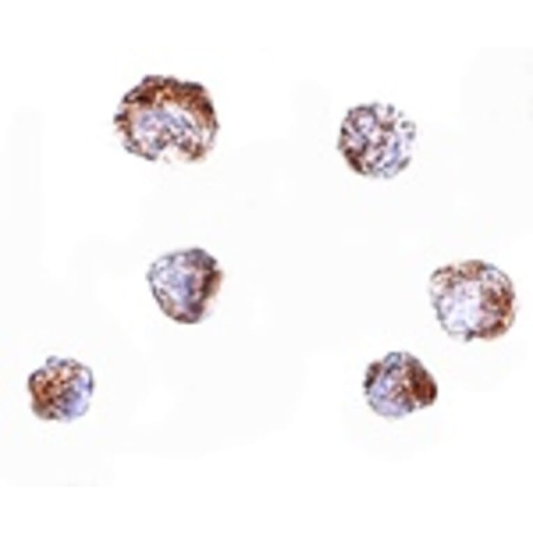 Immunocytochemistry - ZBED3 Antibody from Signalway Antibody (24869) - Antibodies.com