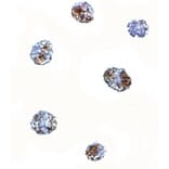 Immunocytochemistry - MATN3 Antibody from Signalway Antibody (24876) - Antibodies.com