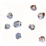 Immunocytochemistry - MATN3 Antibody from Signalway Antibody (24882) - Antibodies.com