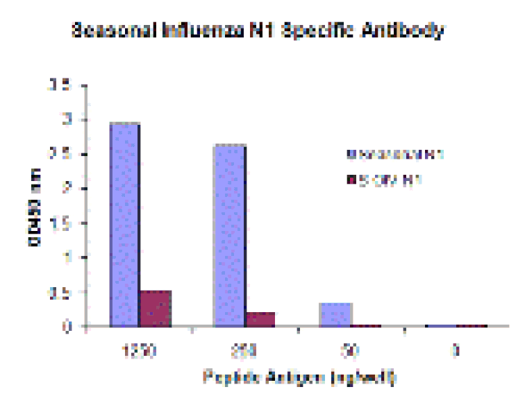 Seasonal H1N1 Neuraminidase Monoclonal Antibody from Signalway Antibody (26044) - Antibodies.com
