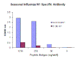 Seasonal H1N1 Neuraminidase Monoclonal Antibody from Signalway Antibody (26044) - Antibodies.com