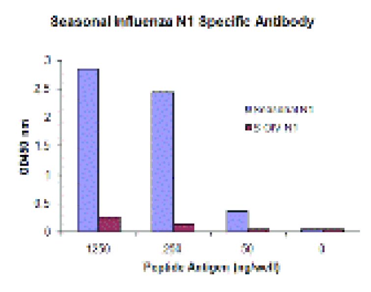 Seasonal H1N1 Neuraminidase Monoclonal Antibody from Signalway Antibody (26045) - Antibodies.com