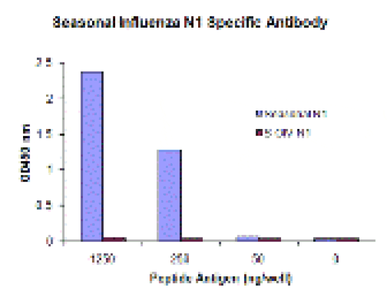 Seasonal H1N1 Neuraminidase Monoclonal Antibody from Signalway Antibody (26046) - Antibodies.com